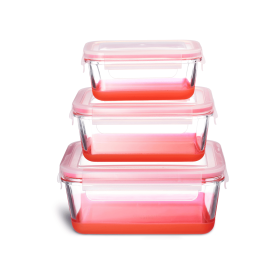 Set of 3 Glass Nesting Food Storage Containers with Lids 2 Cups; 4 Cups; 7.3 Cups